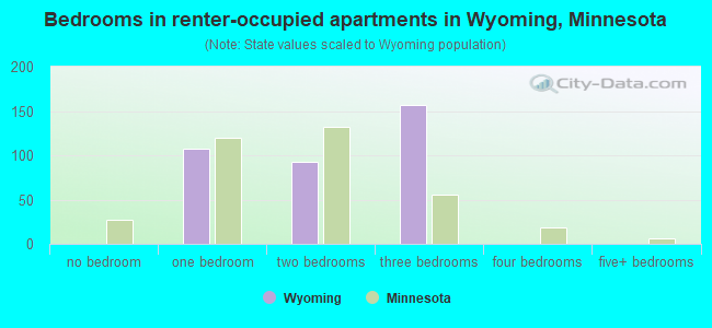 Bedrooms in renter-occupied apartments in Wyoming, Minnesota