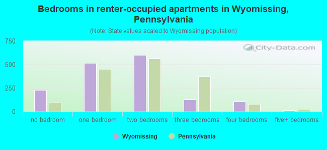 Bedrooms in renter-occupied apartments in Wyomissing, Pennsylvania