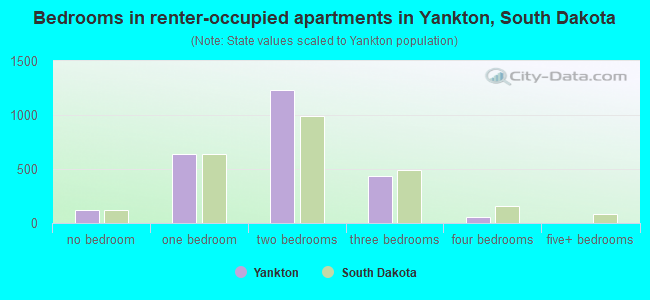 Bedrooms in renter-occupied apartments in Yankton, South Dakota
