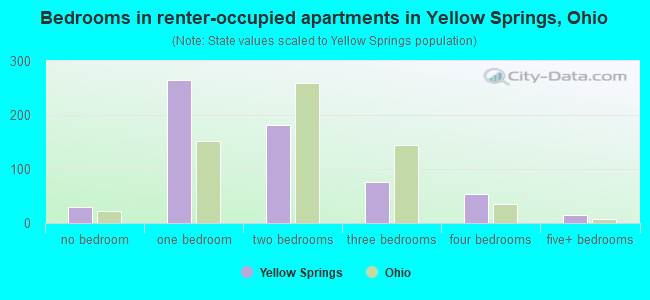 Bedrooms in renter-occupied apartments in Yellow Springs, Ohio