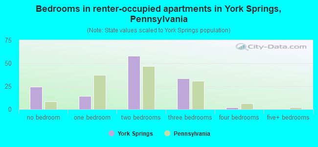 Bedrooms in renter-occupied apartments in York Springs, Pennsylvania