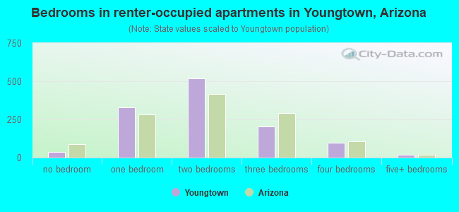 Bedrooms in renter-occupied apartments in Youngtown, Arizona