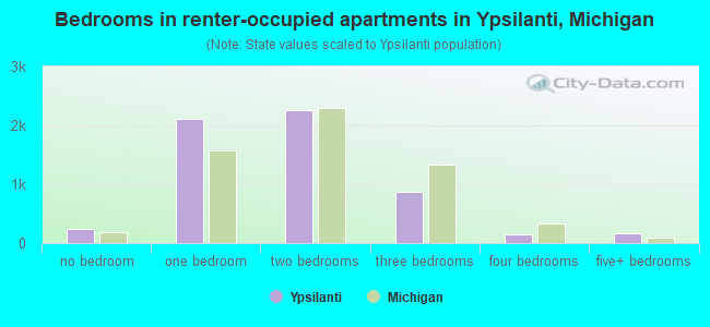 Bedrooms in renter-occupied apartments in Ypsilanti, Michigan