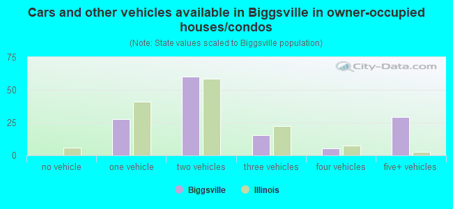 Cars and other vehicles available in Biggsville in owner-occupied houses/condos