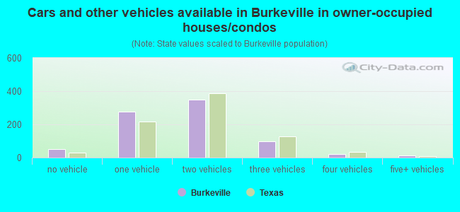 Cars and other vehicles available in Burkeville in owner-occupied houses/condos