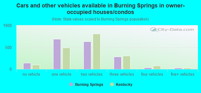 Cars and other vehicles available in Burning Springs in owner-occupied houses/condos