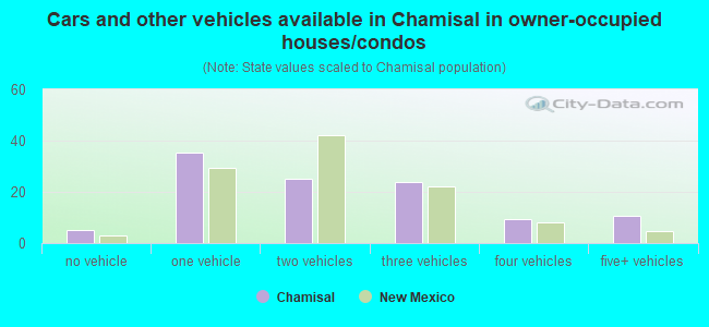Cars and other vehicles available in Chamisal in owner-occupied houses/condos