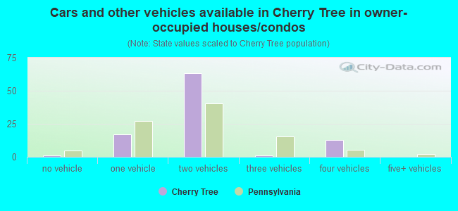 Cars and other vehicles available in Cherry Tree in owner-occupied houses/condos
