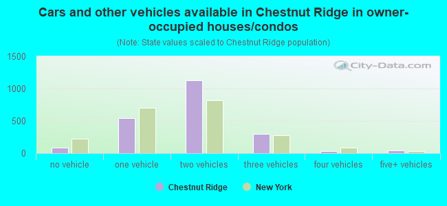 Cars and other vehicles available in Chestnut Ridge in owner-occupied houses/condos