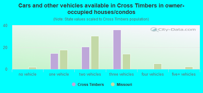 Cars and other vehicles available in Cross Timbers in owner-occupied houses/condos
