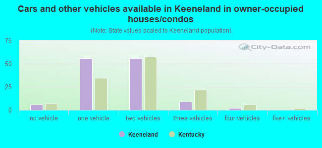 Cars and other vehicles available in Keeneland in owner-occupied houses/condos