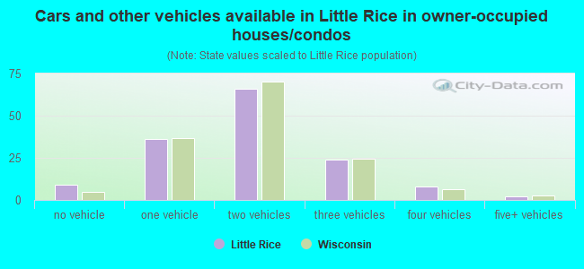 Cars and other vehicles available in Little Rice in owner-occupied houses/condos