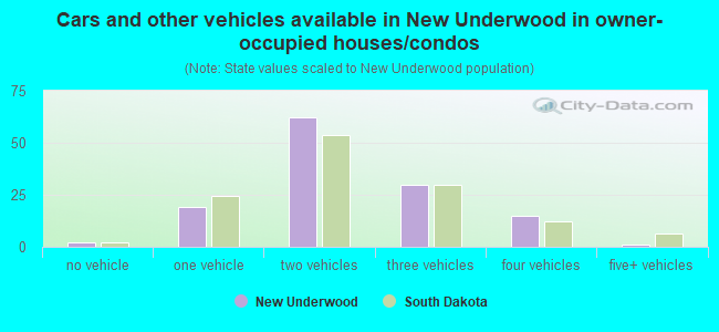 Cars and other vehicles available in New Underwood in owner-occupied houses/condos