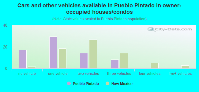 Cars and other vehicles available in Pueblo Pintado in owner-occupied houses/condos
