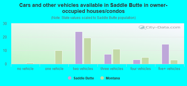 Cars and other vehicles available in Saddle Butte in owner-occupied houses/condos