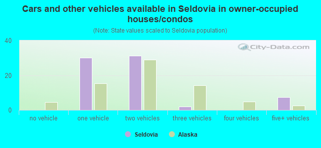 Cars and other vehicles available in Seldovia in owner-occupied houses/condos