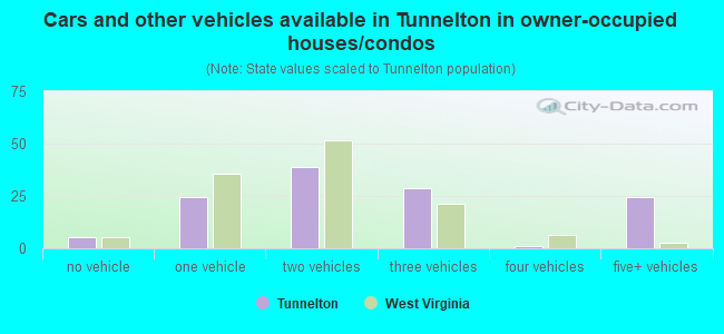Cars and other vehicles available in Tunnelton in owner-occupied houses/condos