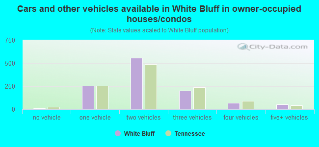 Cars and other vehicles available in White Bluff in owner-occupied houses/condos