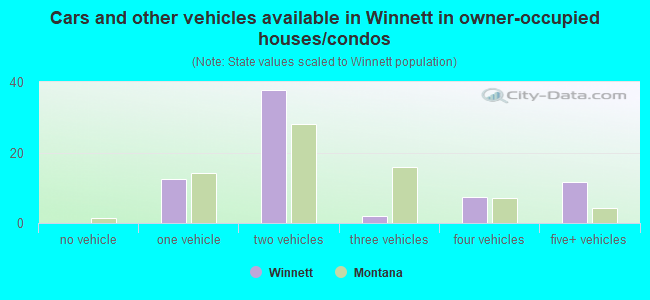 Cars and other vehicles available in Winnett in owner-occupied houses/condos