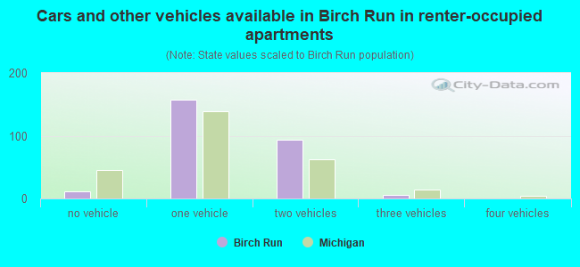 Cars and other vehicles available in Birch Run in renter-occupied apartments
