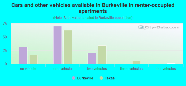 Cars and other vehicles available in Burkeville in renter-occupied apartments