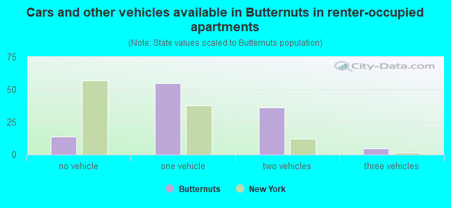 Cars and other vehicles available in Butternuts in renter-occupied apartments