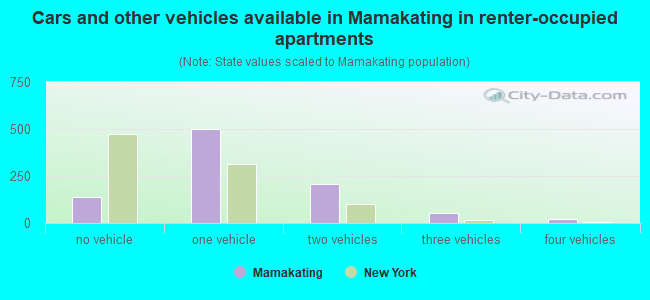 Cars and other vehicles available in Mamakating in renter-occupied apartments