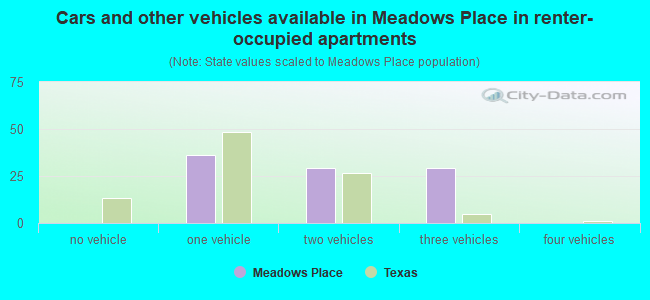 Cars and other vehicles available in Meadows Place in renter-occupied apartments