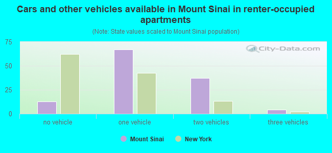 Cars and other vehicles available in Mount Sinai in renter-occupied apartments