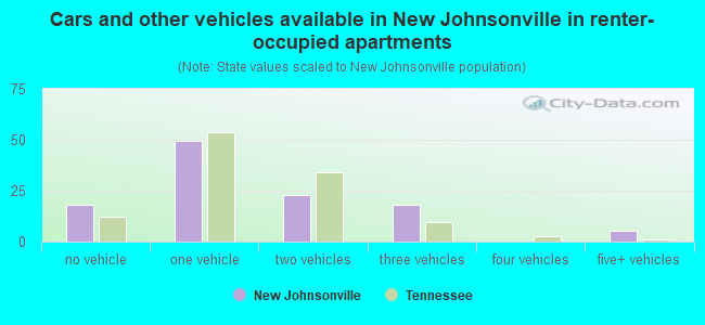Cars and other vehicles available in New Johnsonville in renter-occupied apartments
