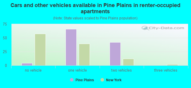 Cars and other vehicles available in Pine Plains in renter-occupied apartments