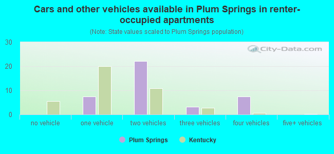 Cars and other vehicles available in Plum Springs in renter-occupied apartments
