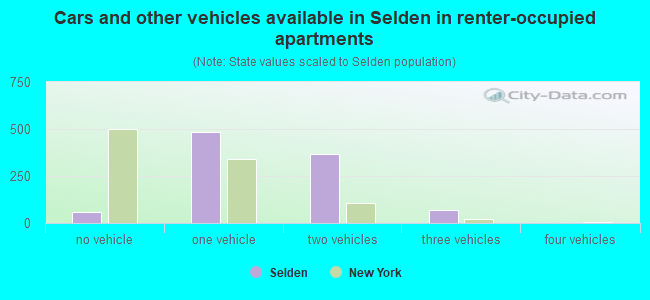 Cars and other vehicles available in Selden in renter-occupied apartments