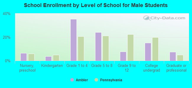 School Enrollment by Level of School for Male Students