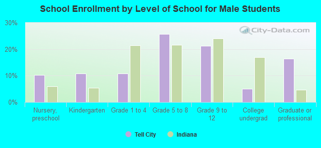 School Enrollment by Level of School for Male Students