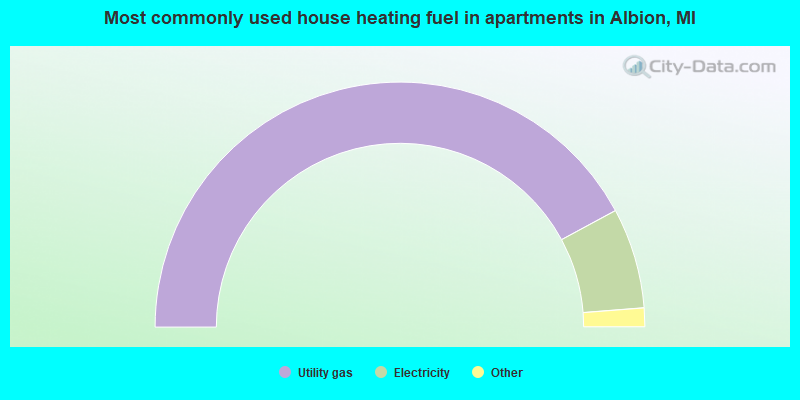 Most commonly used house heating fuel in apartments in Albion, MI