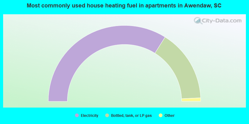 Most commonly used house heating fuel in apartments in Awendaw, SC