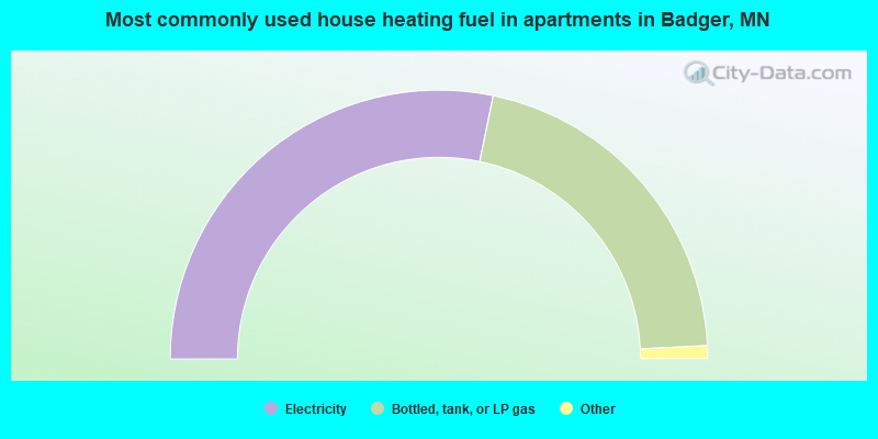 Most commonly used house heating fuel in apartments in Badger, MN