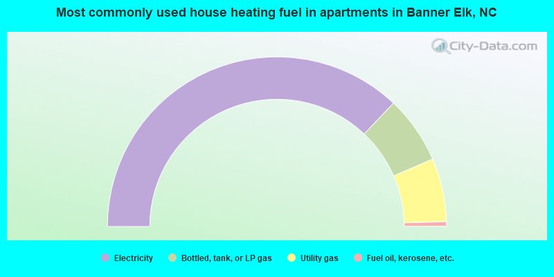 Most commonly used house heating fuel in apartments in Banner Elk, NC