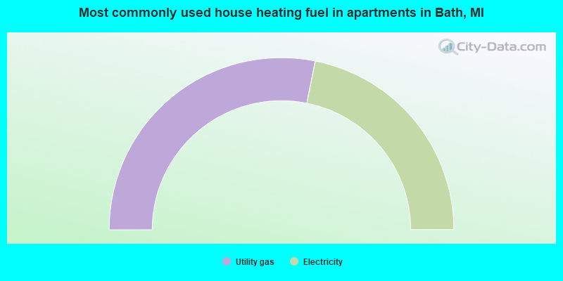Most commonly used house heating fuel in apartments in Bath, MI