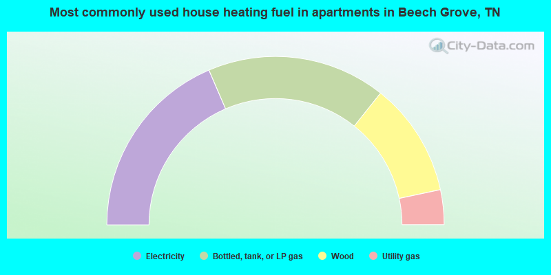 Most commonly used house heating fuel in apartments in Beech Grove, TN