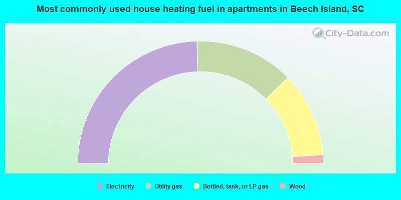 Most commonly used house heating fuel in apartments in Beech Island, SC