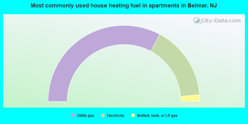 Most commonly used house heating fuel in apartments in Belmar, NJ