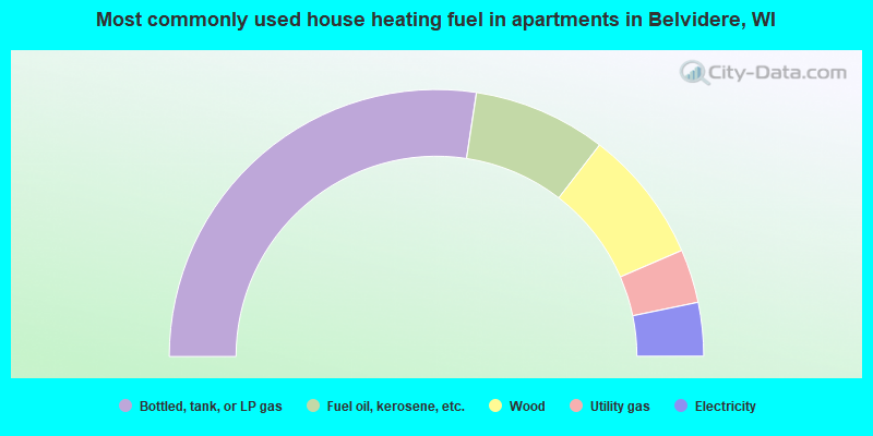 Most commonly used house heating fuel in apartments in Belvidere, WI