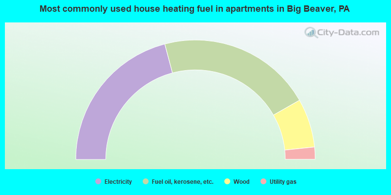 Most commonly used house heating fuel in apartments in Big Beaver, PA