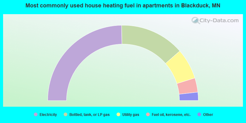 Most commonly used house heating fuel in apartments in Blackduck, MN