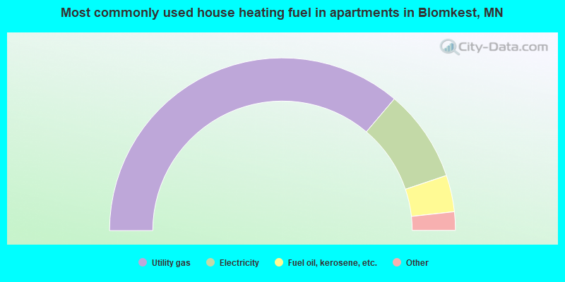 Most commonly used house heating fuel in apartments in Blomkest, MN