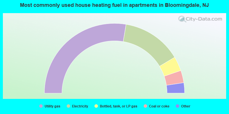Most commonly used house heating fuel in apartments in Bloomingdale, NJ