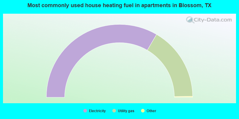 Most commonly used house heating fuel in apartments in Blossom, TX