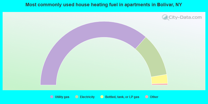 Most commonly used house heating fuel in apartments in Bolivar, NY